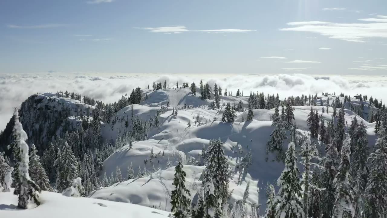 Alaska — glaciers, spruce forest, and mountain coastline