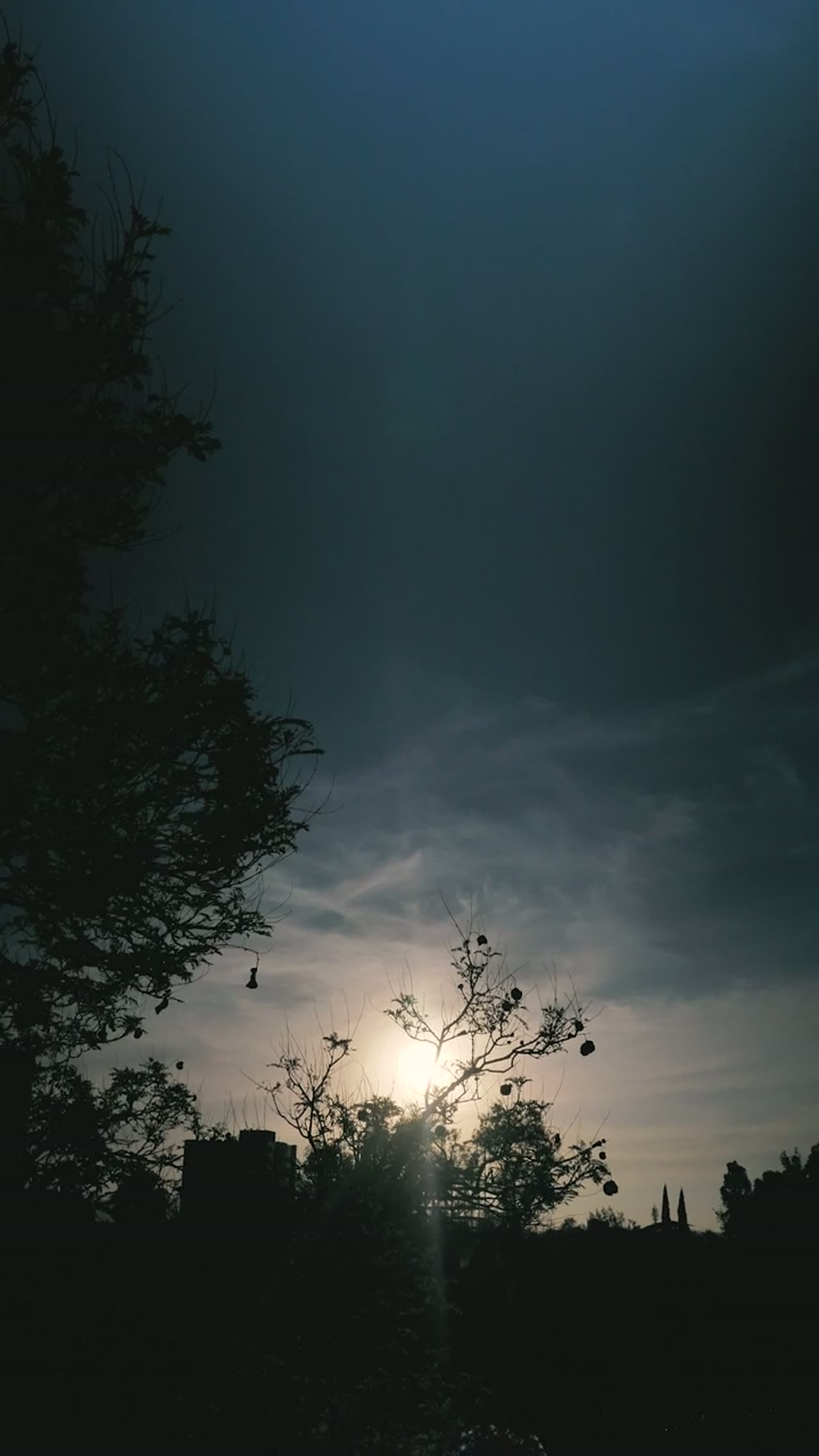 Texas — live oaks, big skies, and sprawling sunbelt metros